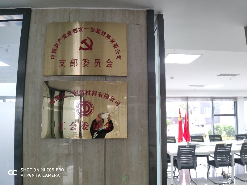 热烈祝贺888集团电子游戏集团成都分公司党支部在2020年3月11日授牌建设，，，，支部书记曹云(行政部司理)